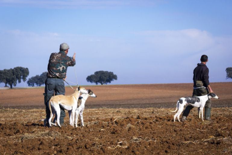 Cazadores durante una batida