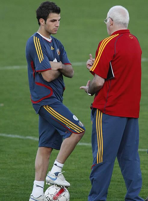 El seleccionador habla con Cesc Fábregas