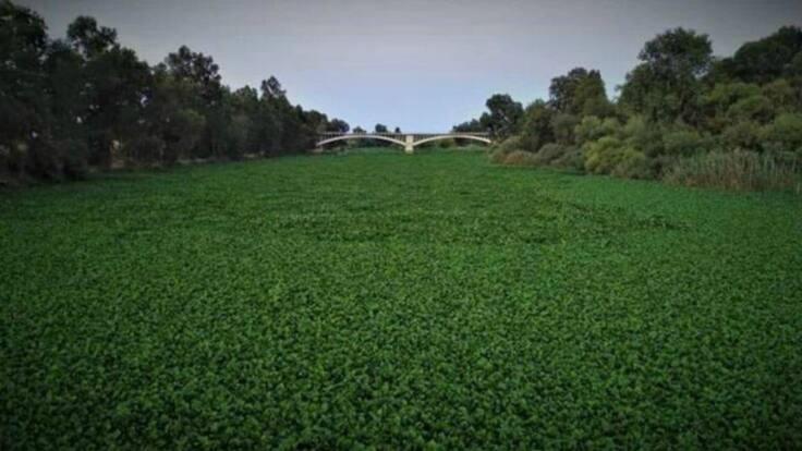 Yolanda García Seco, Delegada de Gobierno en Extremadura sobre el Camalote