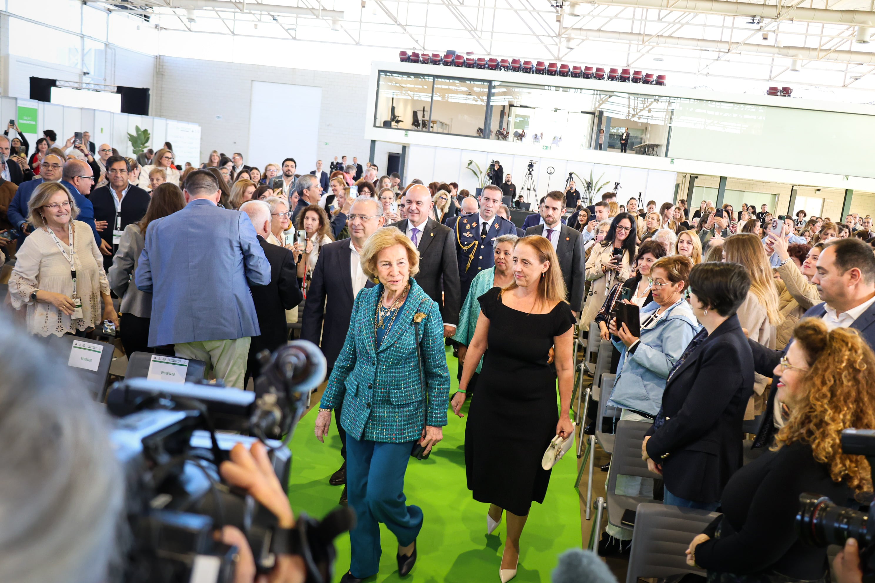La Reina Sofía, a su llegada al Congreso