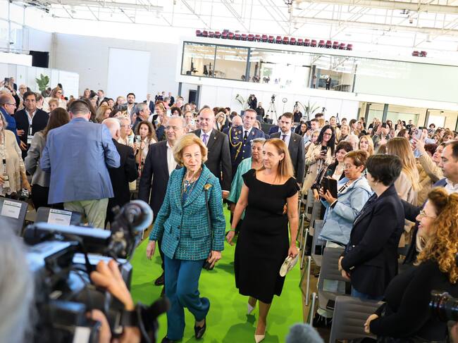 La Reina Sofía, a su llegada al Congreso