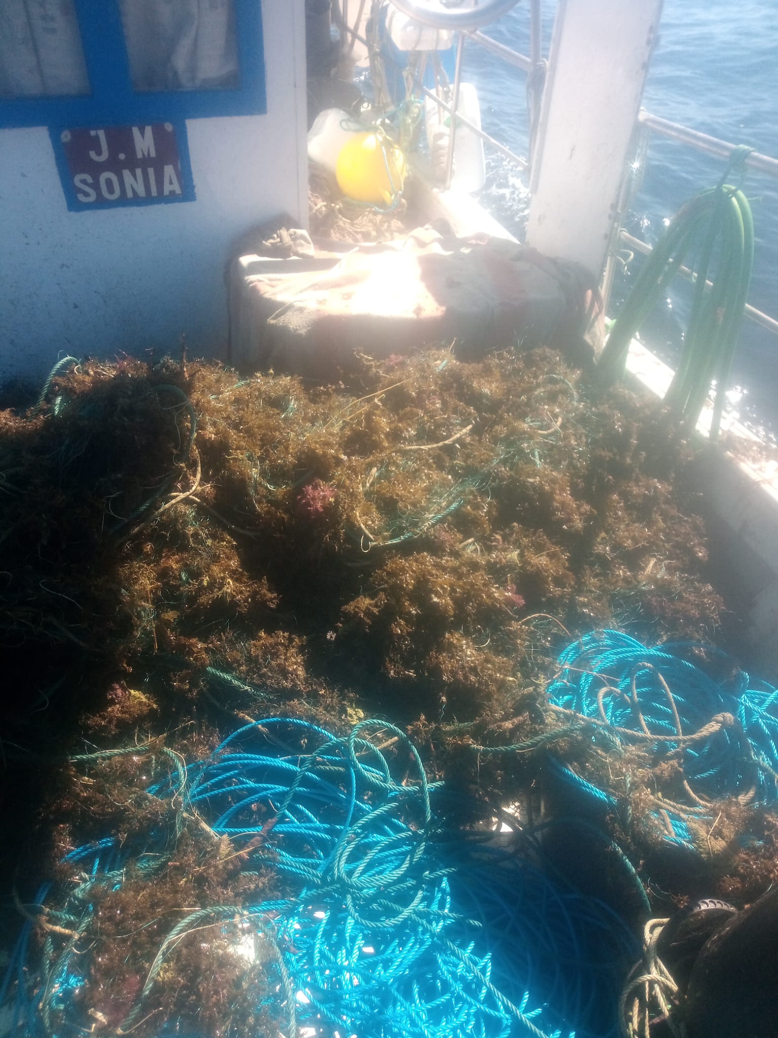 Los pescadores de la costa granadina sacan del mar la basura provocada por los temporales