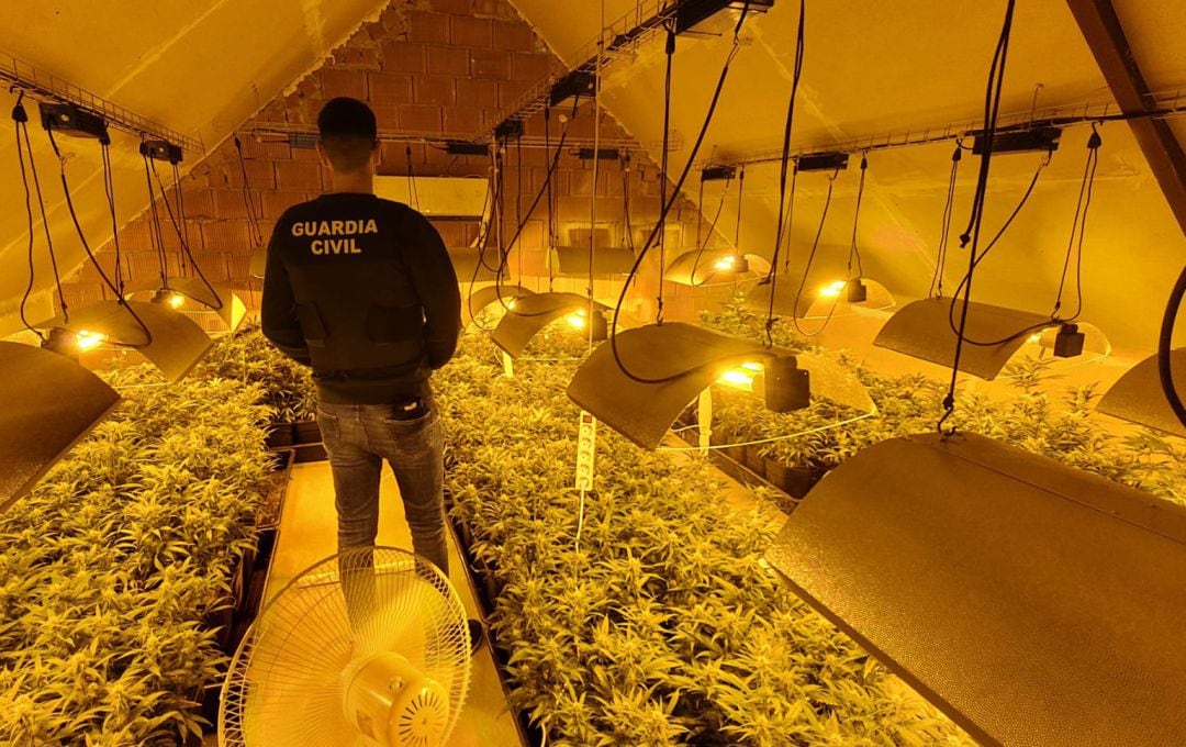 La Guardia Civil detuvo a una pareja por un delito de cultivo y otro delito de defraudación de fluido eléctrico