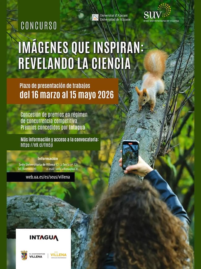 Sede Universitaria de Villena