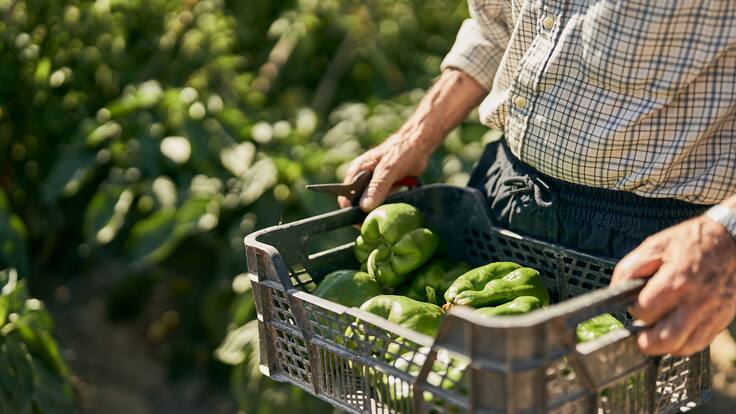 Laura Lorenzo (Foro Rural Mundial): "El modelo vasco de agricultura familiar es el más sostenible"