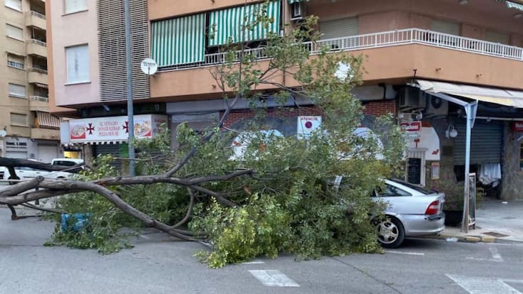 La Ventana Comunitat Valenciana - José María Ángel (21/01/2021)