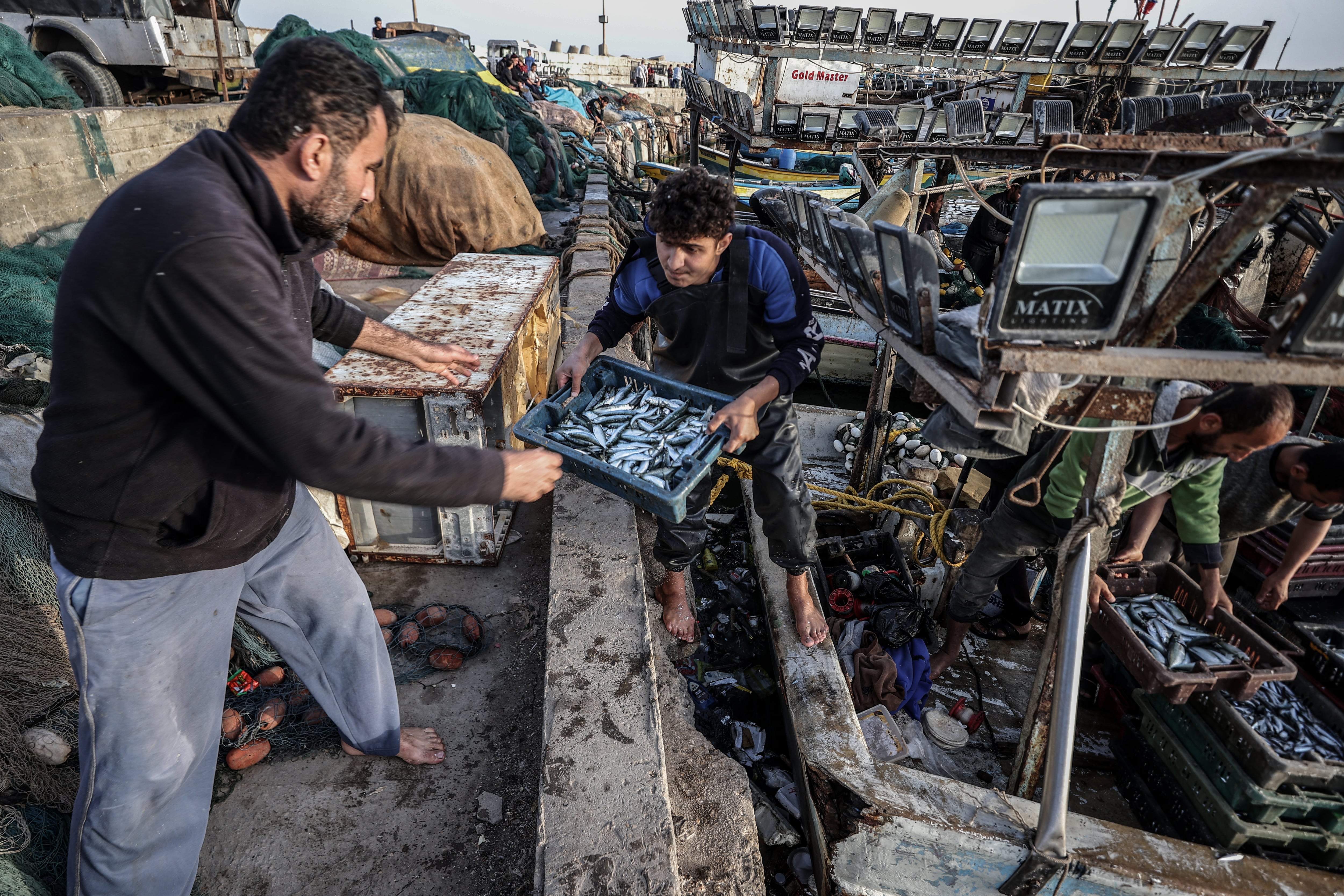 Pescadores descargando pescado en Gaza, el pasado mes de junio.