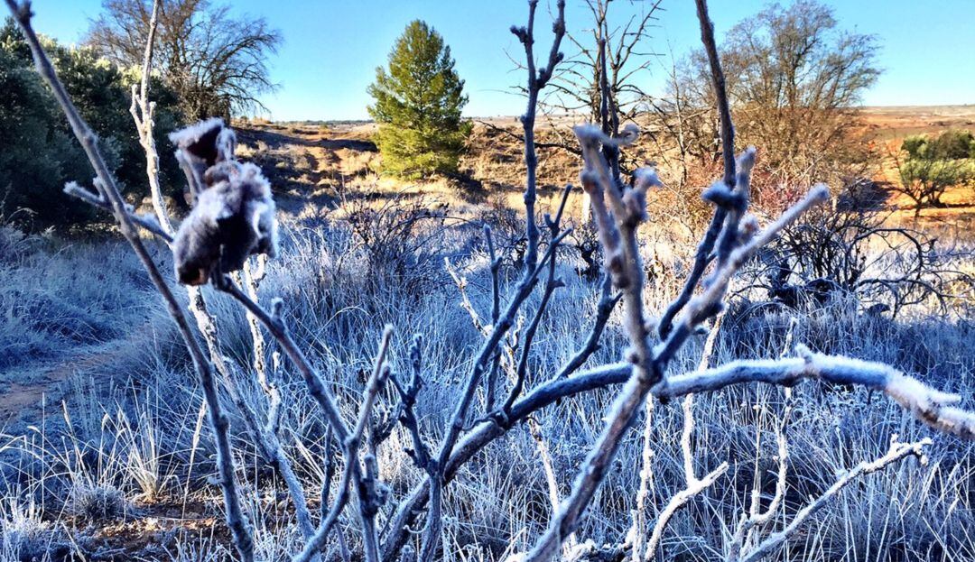 Escarcha en los campos de Cuenca en una mañana de enero.