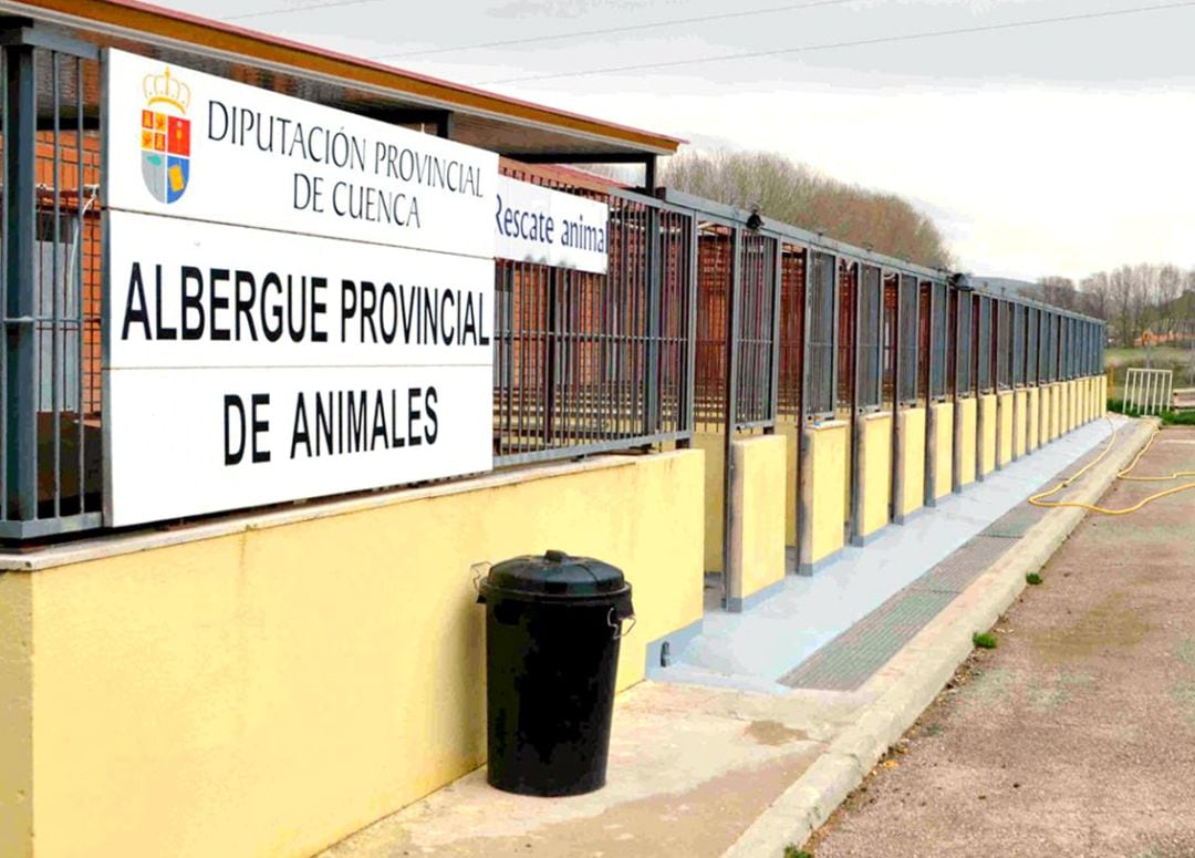 El Albergue de Animales de Cuenca, en una imagen de archivo