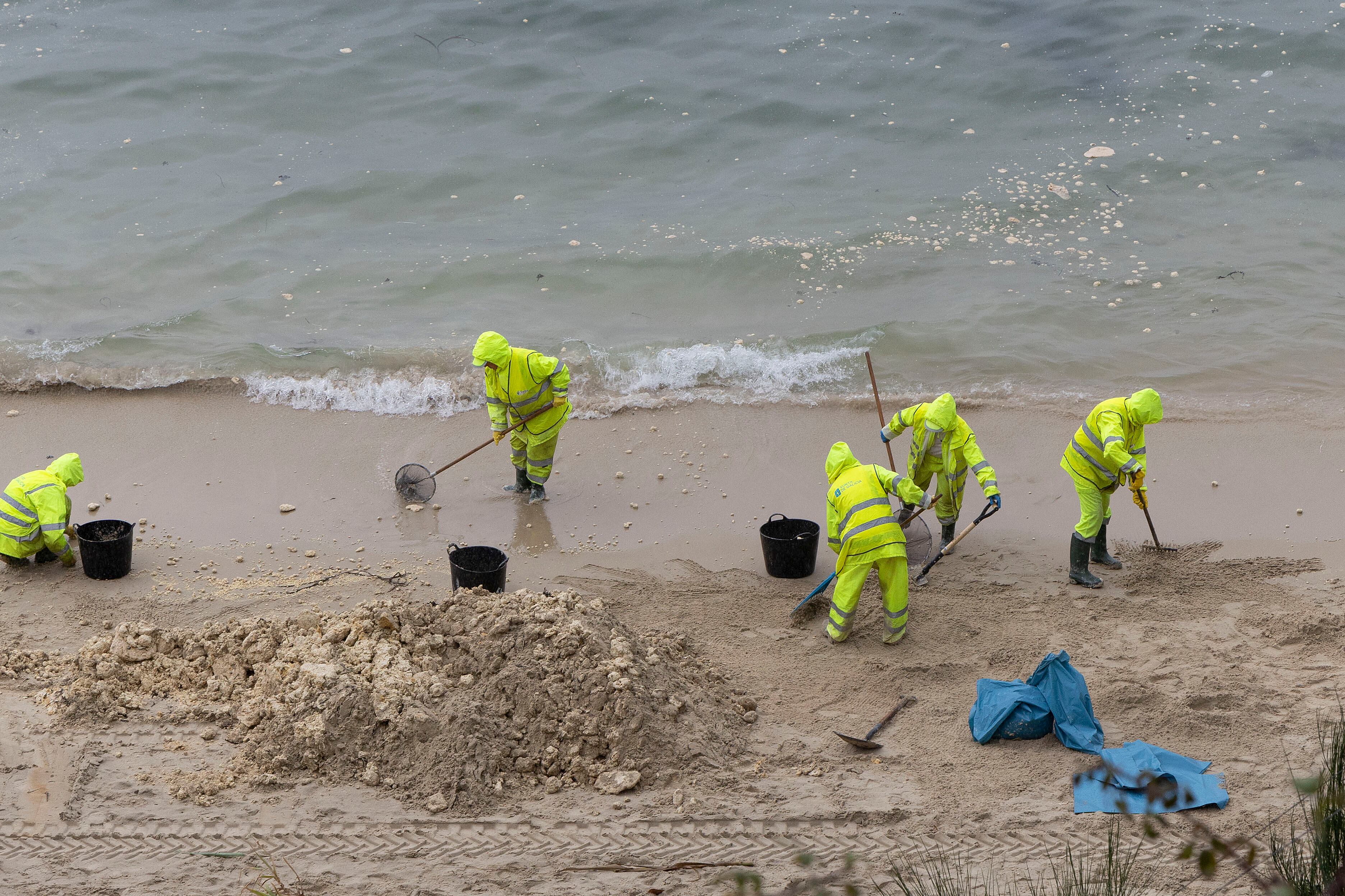 Recogida de aceite de palma en Moaña
EFE / Salvador Sas