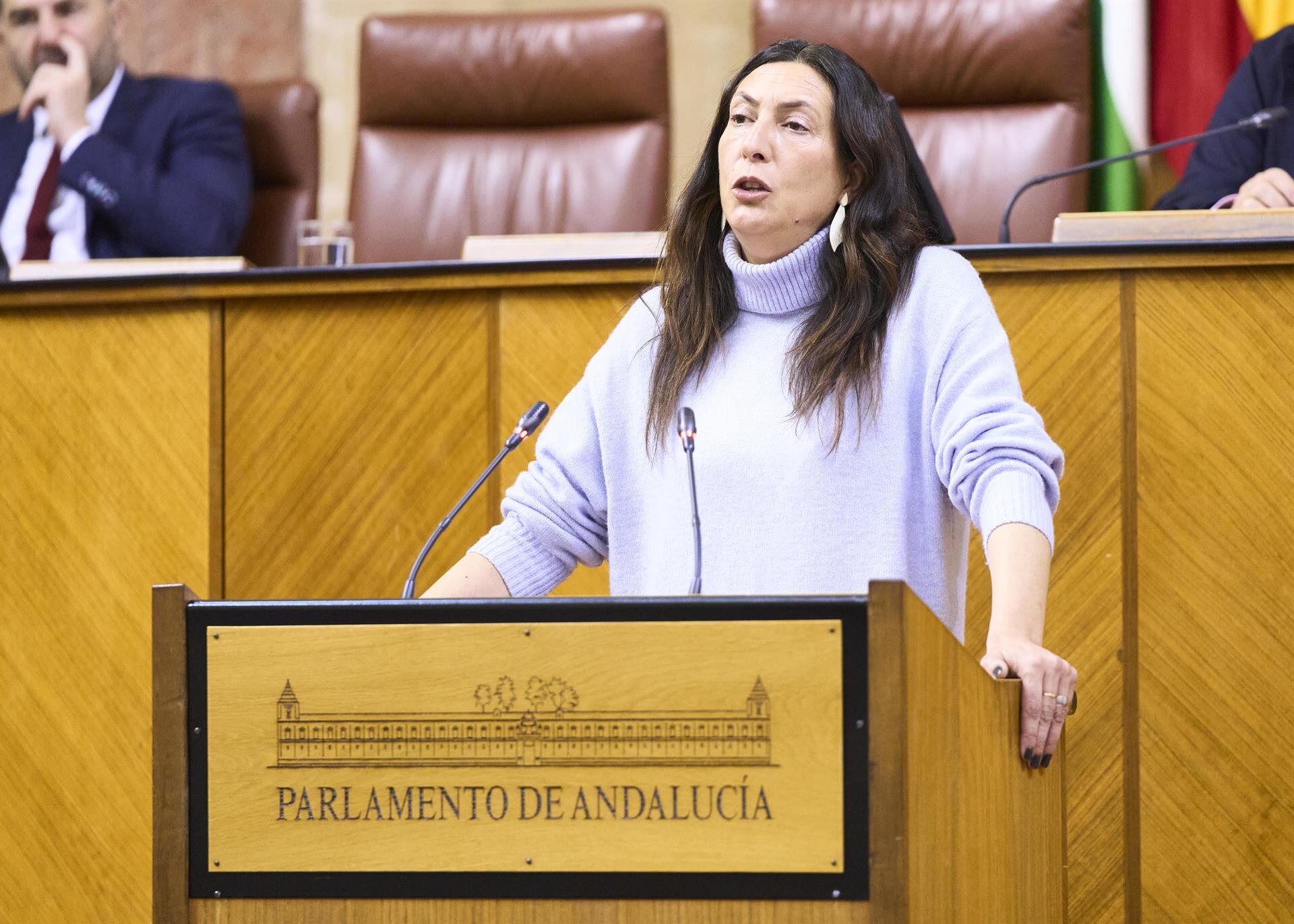 La consejera de Inclusión Social, Juventud, Familias e Igualdad, Loles López, comparece en el Pleno del Parlamento andaluz. - JOAQUÍN CORCHERO/PARLAMENTO DE ANDALUCÍA