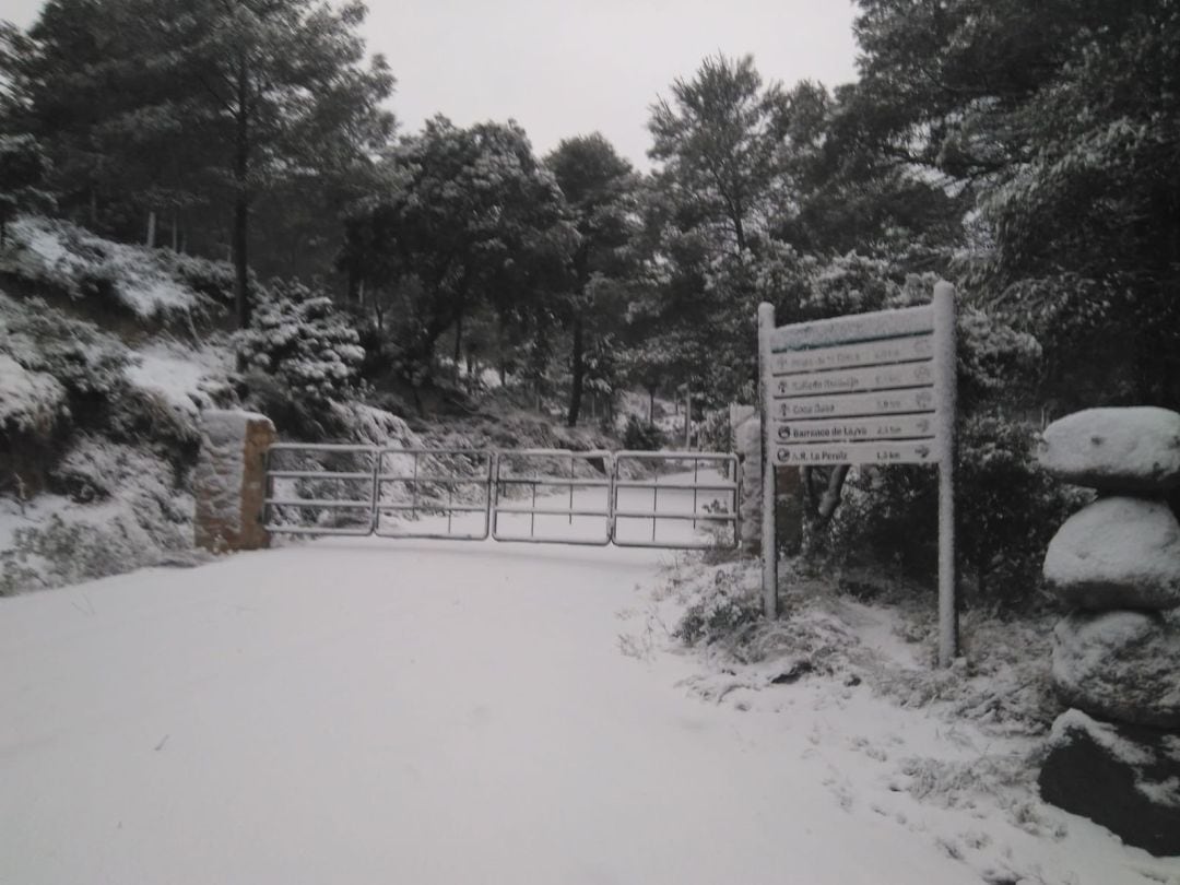 La nevada provoca que hoy lunes sigan cerrados los accesos al Parque Regional de Sierra Espuña