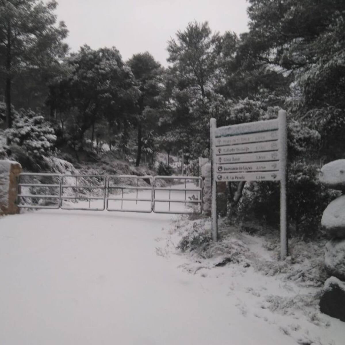 El temporal deja hasta 50 centímetros de nieve acumulada en el Noroeste y Sierra Espuña