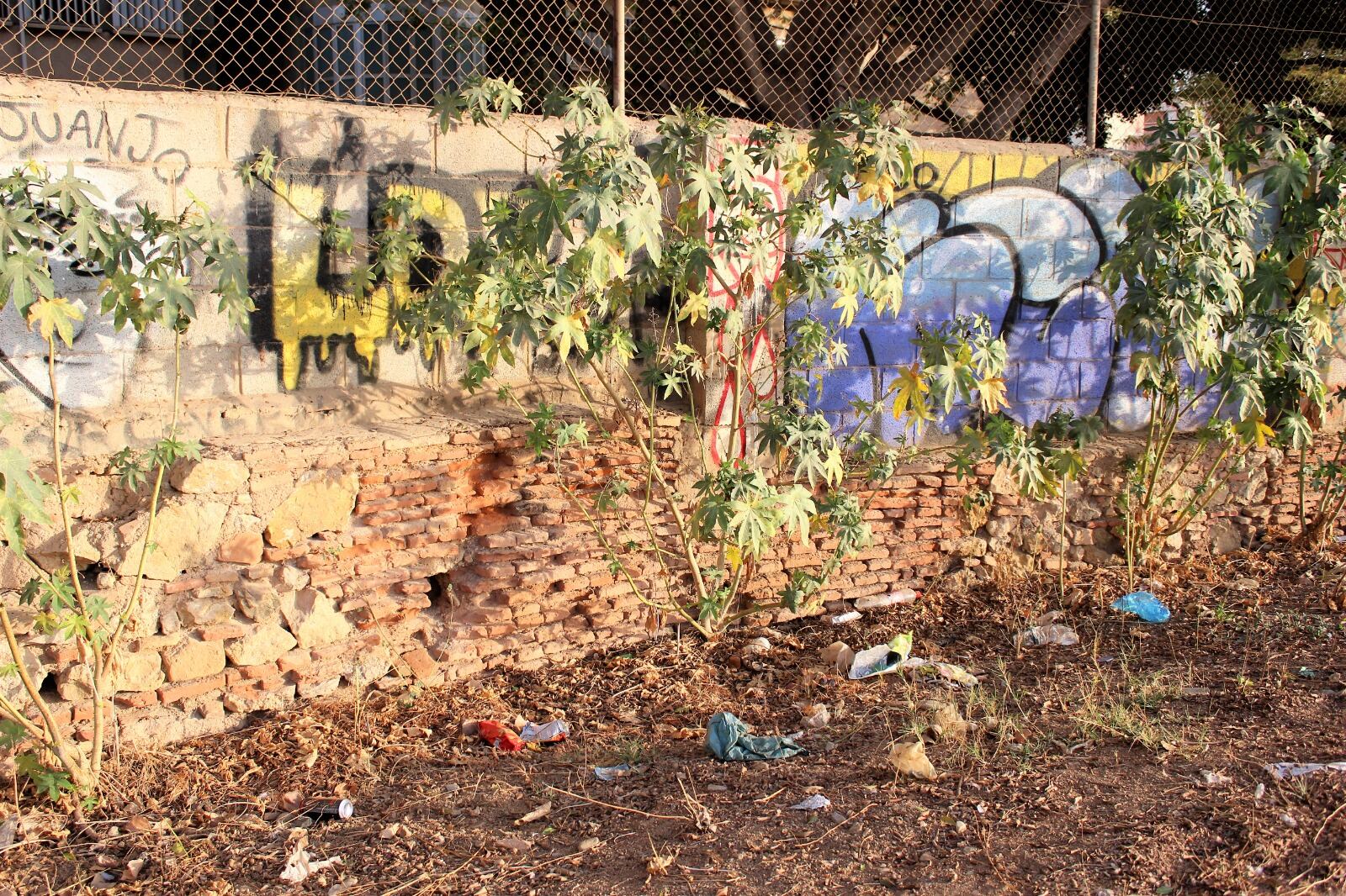 Basura, suciedad y desperfectos en la pared del patio del colegio Hernández Cánovas de Tiro Pichón de Málaga