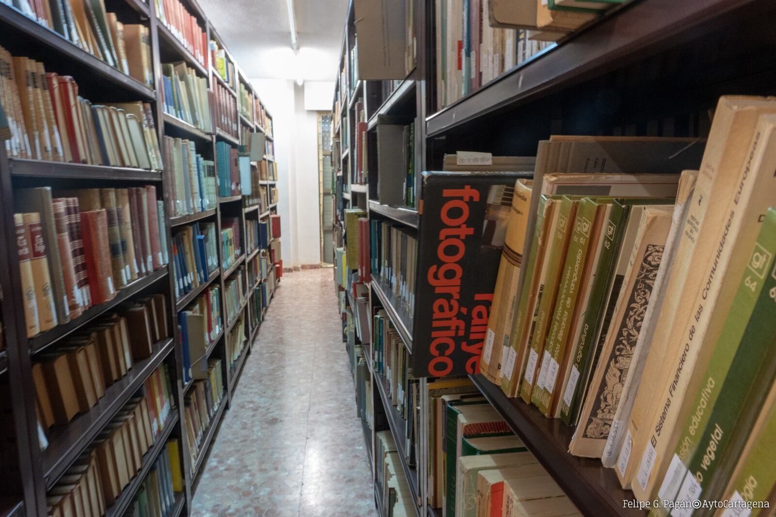 Biblioteca municipal de Cartagena