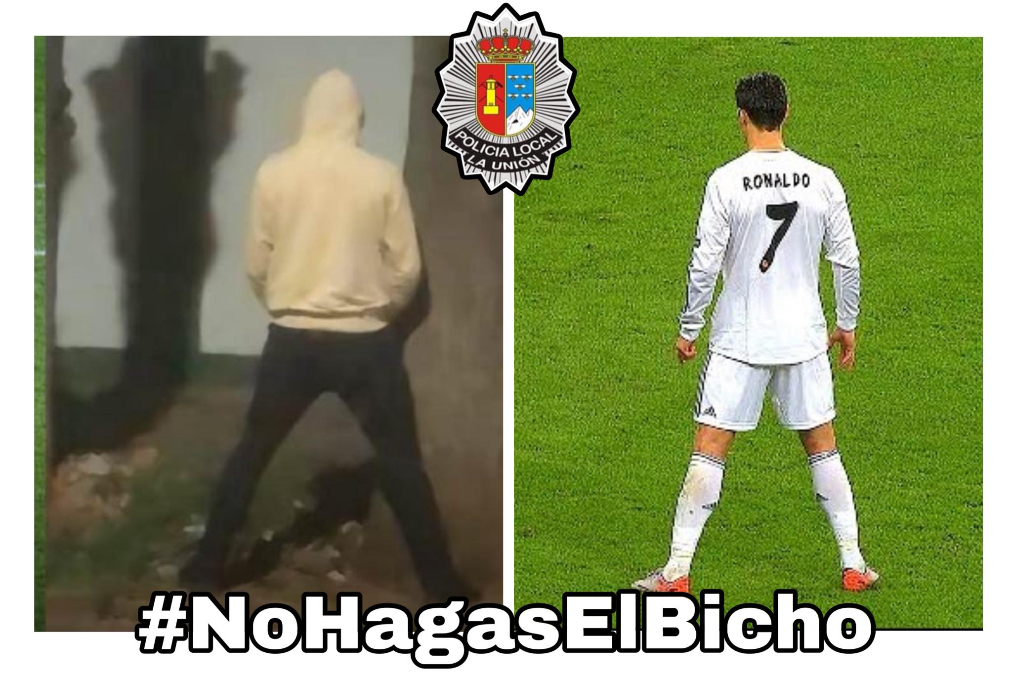 Campaña #NohagaselBicho en La Unión