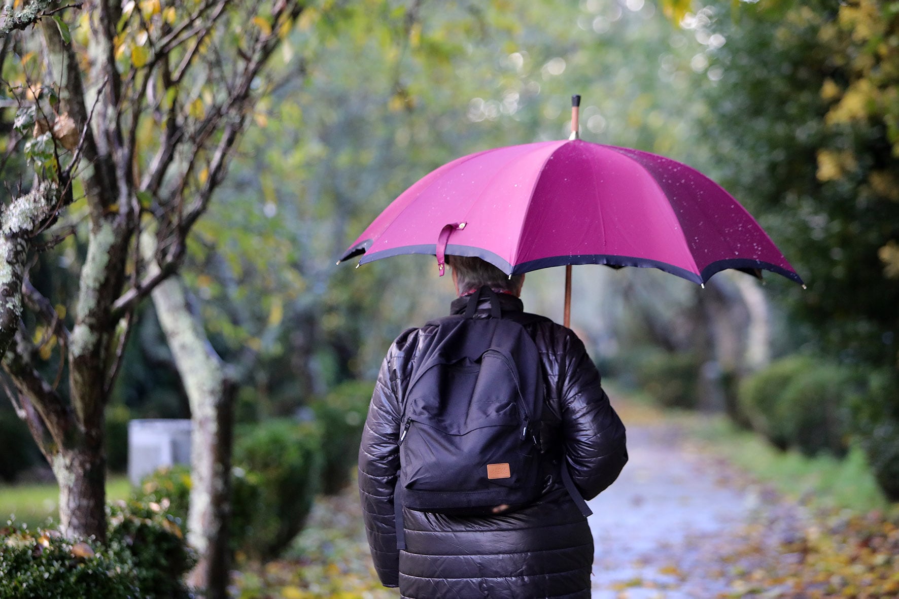 Las lluvias serán intensas durante toda la jornada.