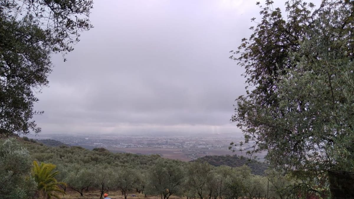 Reportaje olivar de Sierra.
