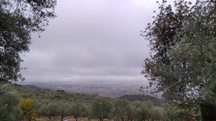 Reportaje olivar de Sierra.