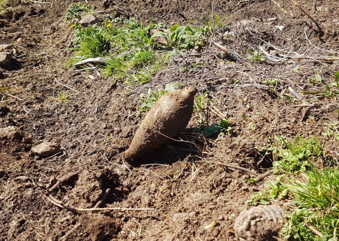 Imagen de uno de los artefactos encontrados ayer en la zona de Akondia