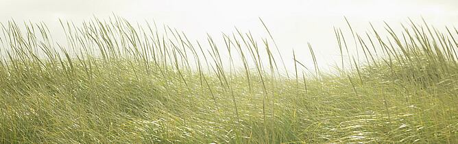 Las temperaturas experimentarán un ascenso que será ligero en Canarias y que variará de ligero a moderado en el resto de España