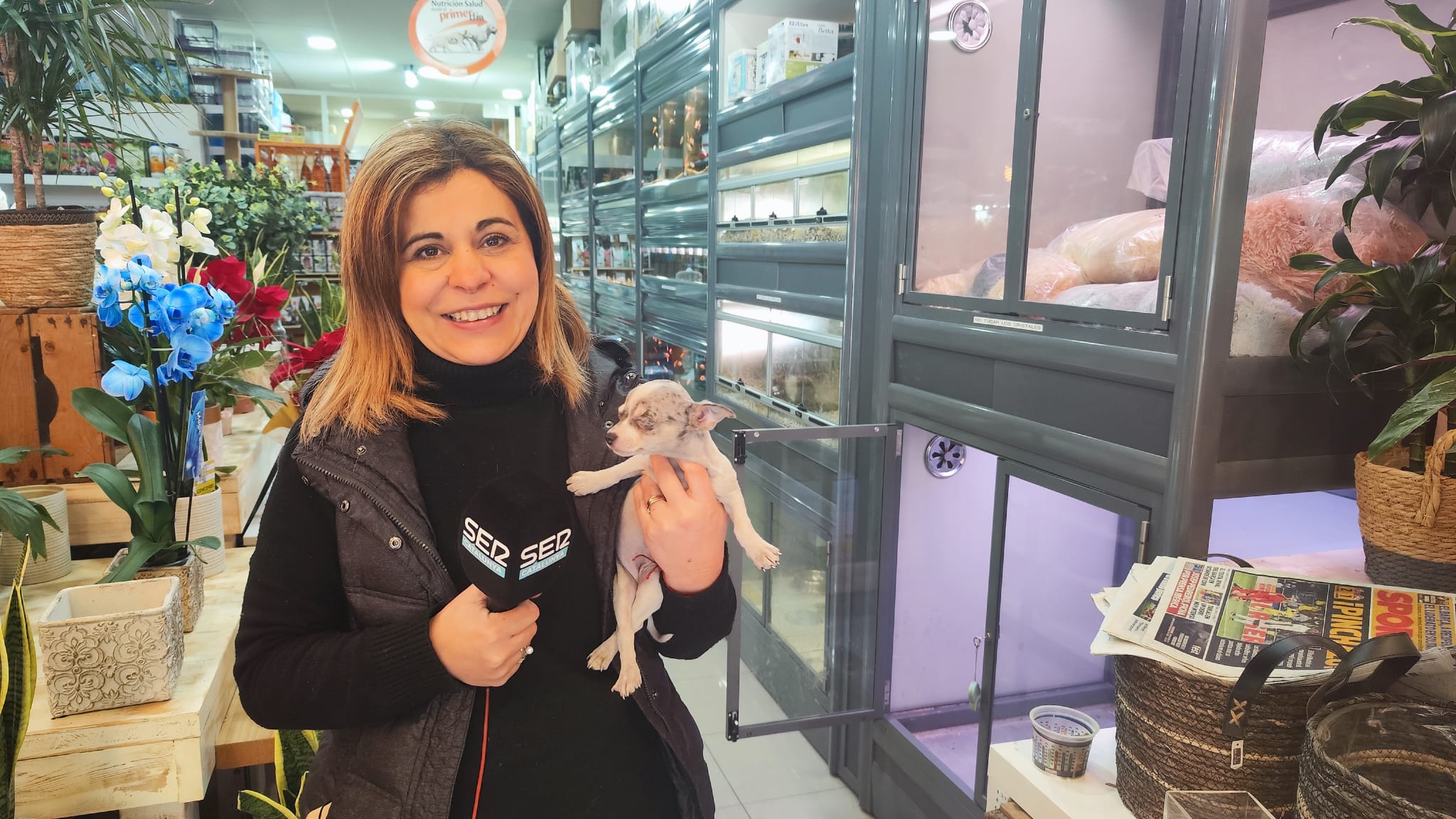 Soco Sopa, de la botiga d&#039;animals Naturviva Mascotas, del barri de Balàfia. Parla dels perjudicis de la prohibició de vendre mascotes (com encara en venia a finals de gener). Foto: Maricel Benabarre.