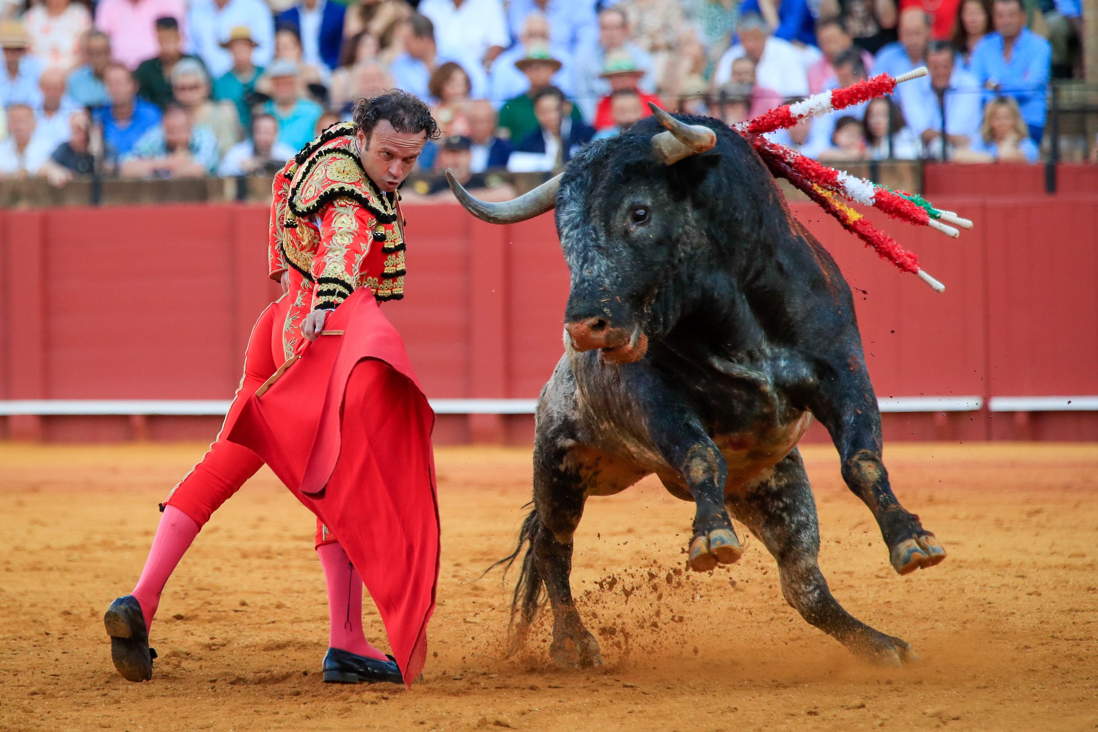 SEVILLA, 01/05/2023,- El diestro Antonio Ferrera durante la faena a su tercer toro, de la ganadería de Miura, al que le cortó una oreja en la decimoquinta corrida de abono de la Feria de Abril esta tarde en la plaza de la Real Maestranza de Sevilla. EFE/ Julio Muñoz
