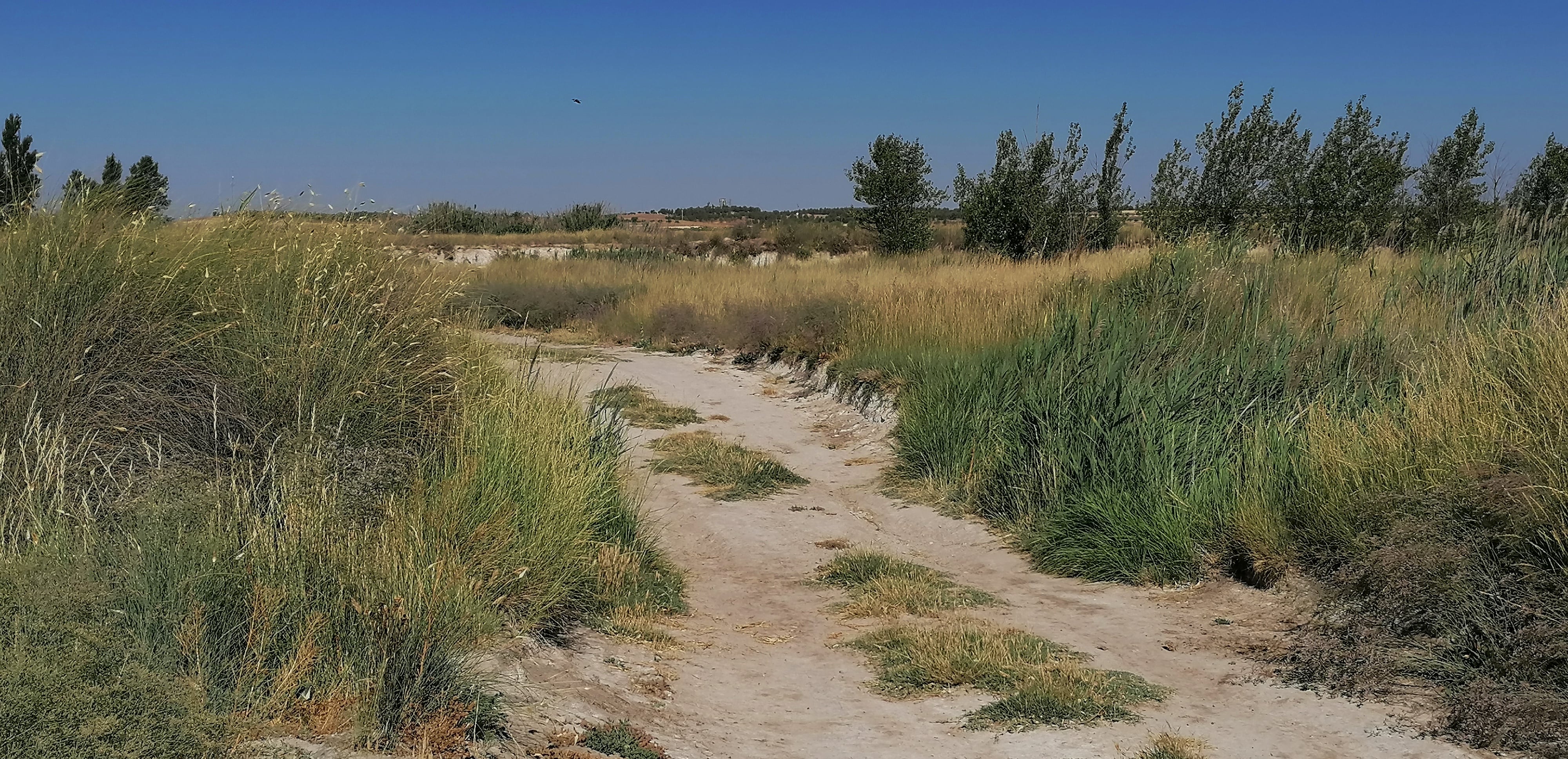 A lo largo del recorrido, el Sahona se cruza con antiguos caminos históricos y rutas senderistas.