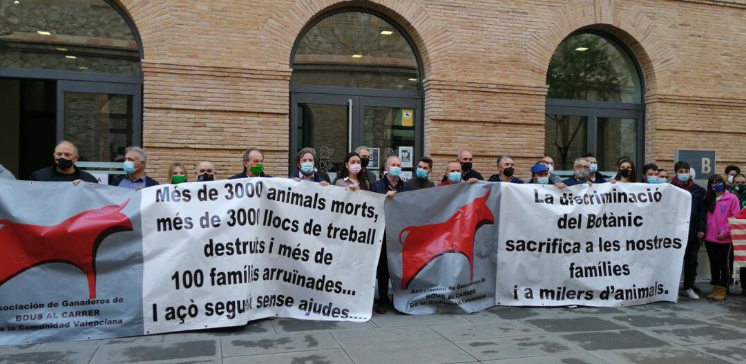 Manifestación València