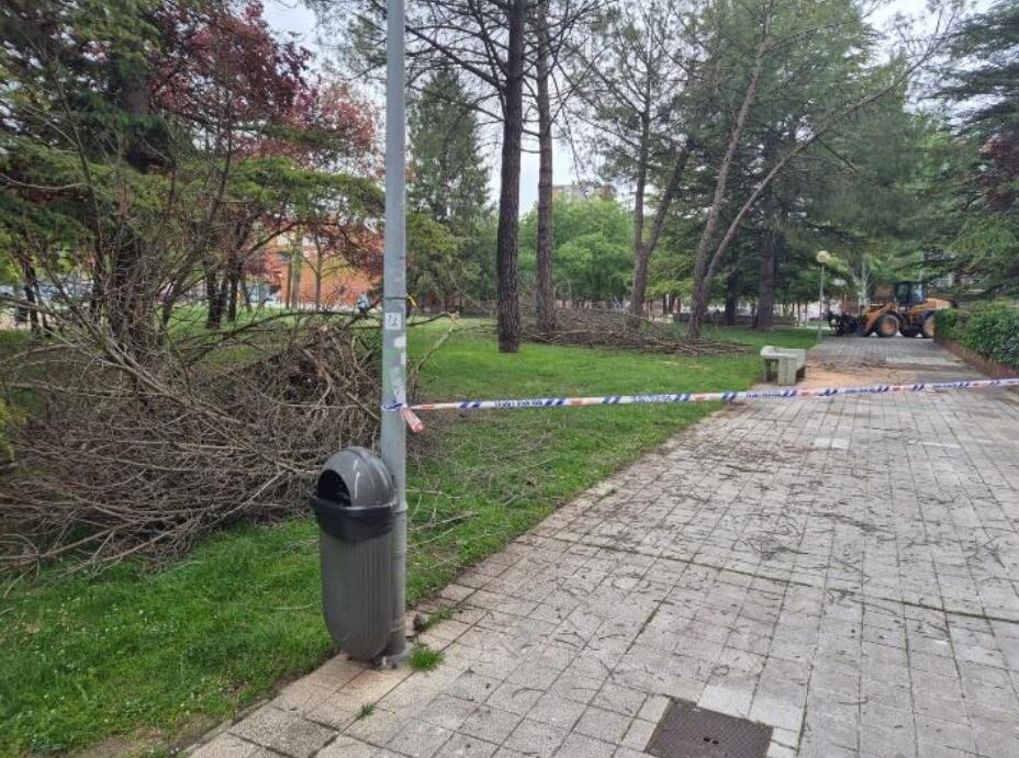 El Comité de Empresa del Ayuntamiento denuncia una política de personal que ha derivado en el deterioro de las zonas verdes