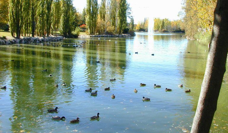 Lago del Parque Natural &quot;El Soto&quot; de Móstoles