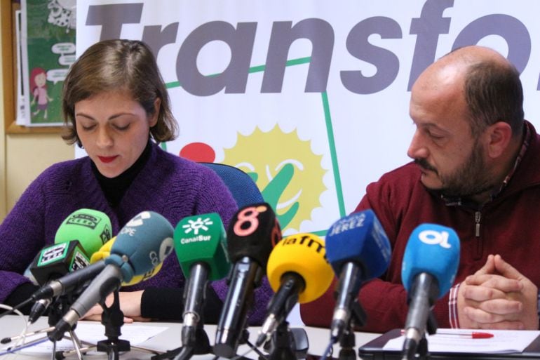 El portavoz de IU, Raúl Ruiz Berdejo, tacha de &quot;estaba política&quot; al proyecto del gobiern local 