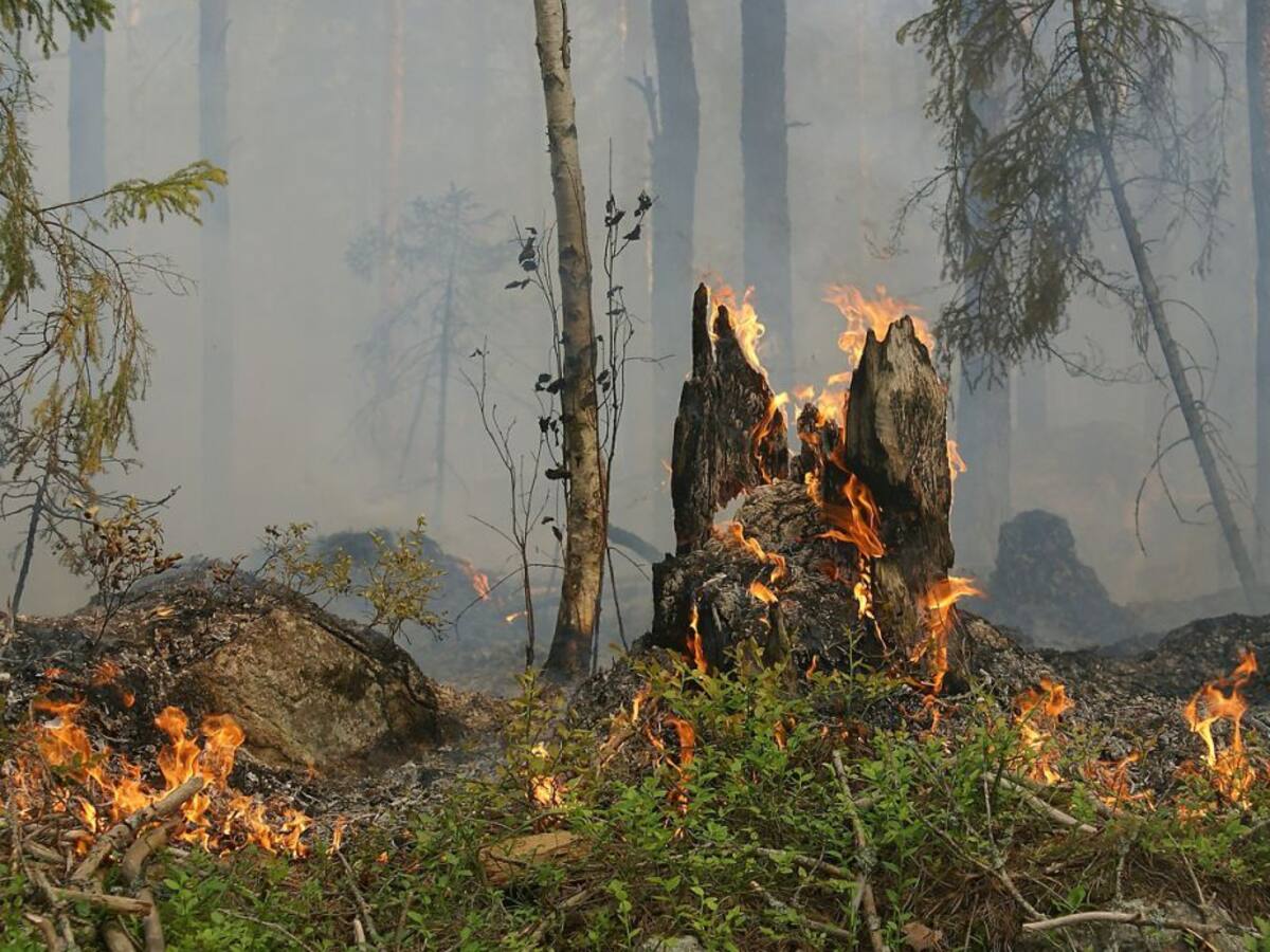 El Gobierno foral aconseja reforzar la precaución en labores agrícolas y medio natural para evitar incendios