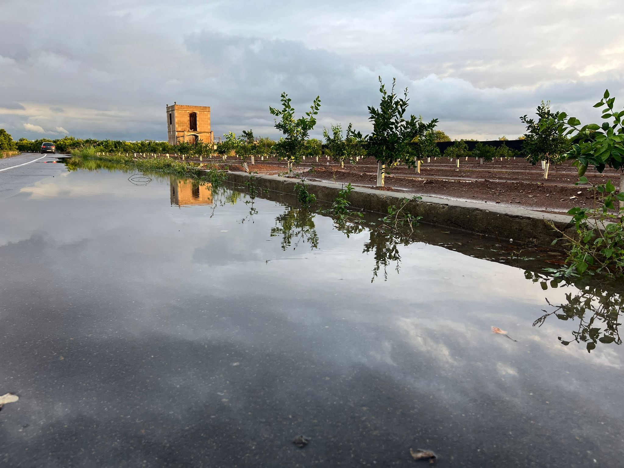 Un huerto del camí Axiamo de Burriana durante las lluvias de la pasada semana