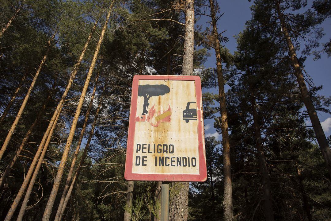 Un cartel advierte del peligro de incendios en un pinar de Hoyos del Espino