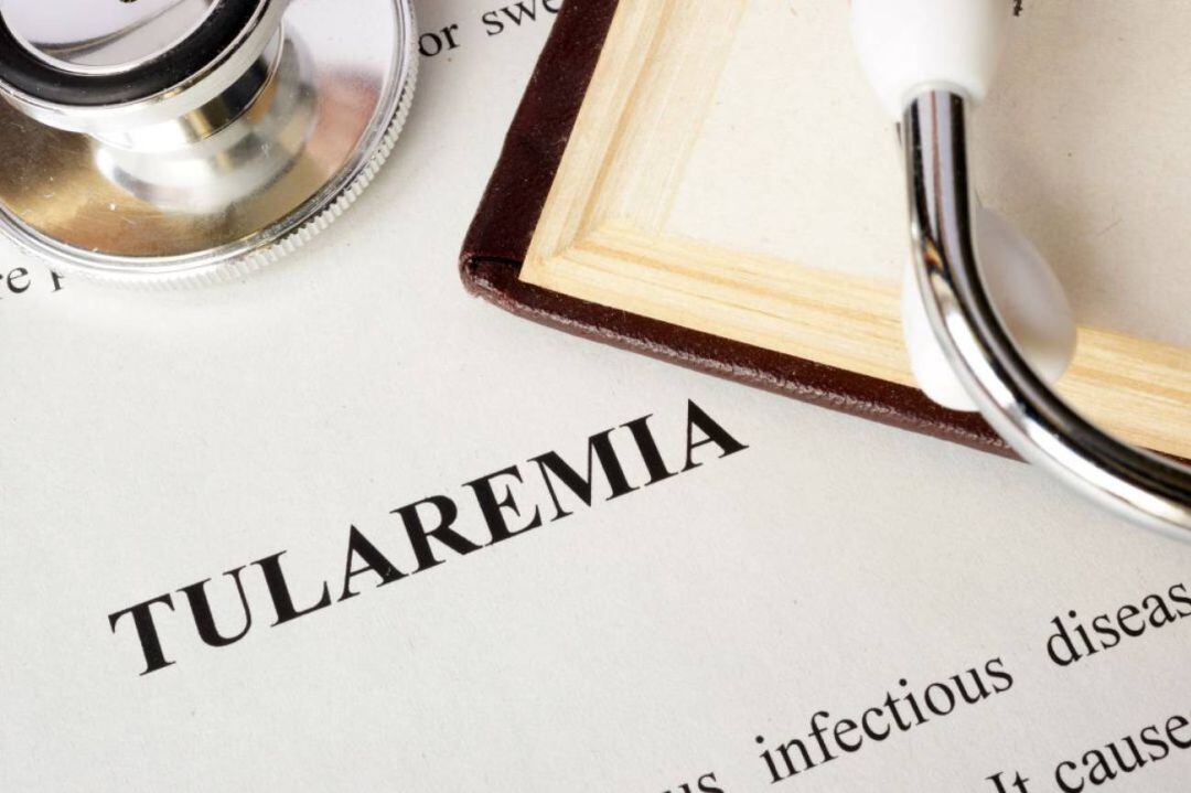 Siguen creciendo los casos de tularemia en Palencia