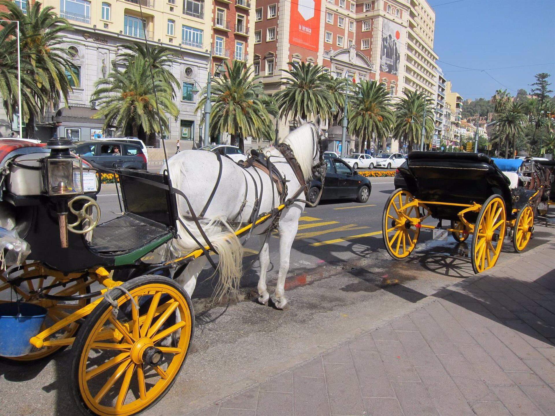 Coches de caballos en el centro de Málaga en una imagen de archivo. 