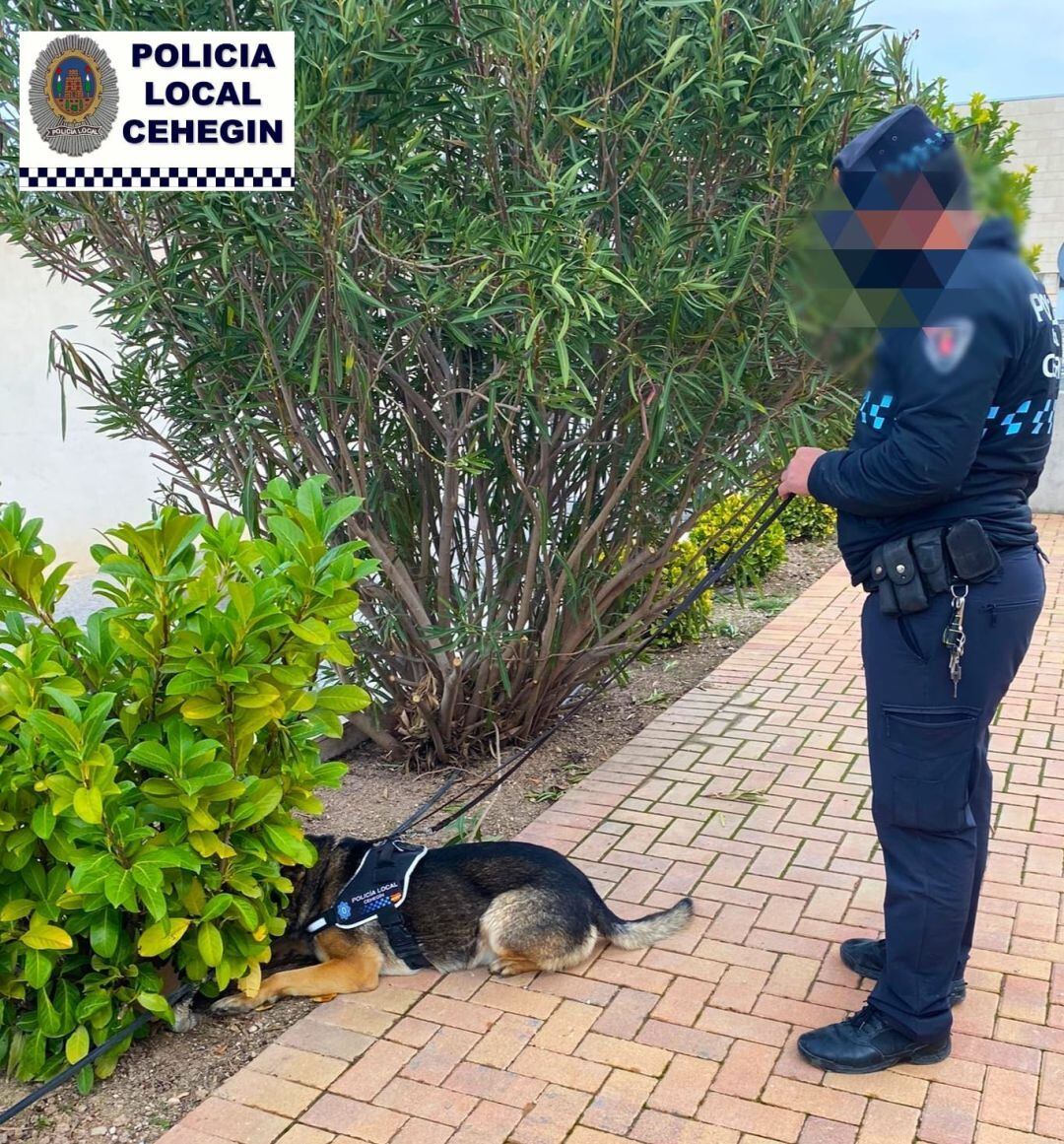 Un Policia Local junto al perro policía del cuerpo