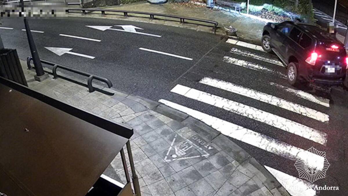 Detingut un jove de 18 anys com a presumpte autor de diversos furts de cotxes