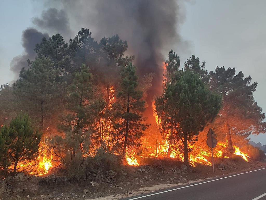 Incendio en Cebreros (Ávila)