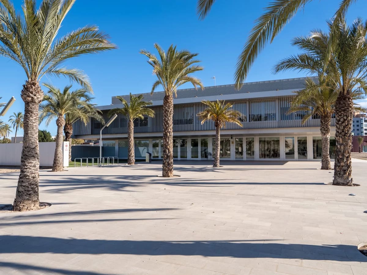 Nueva oferta formativa del Centro de Idiomas UMH: inglés, valenciano y español con descuentos de hasta el 50% en la matrícula