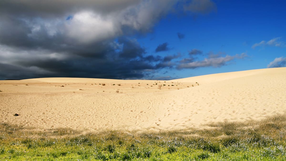 No vamos a contar mentiras: «El desierto no avanza, lo creamos nosotros», con Jaime Martínez Valderrama y Miguel A. Goberna