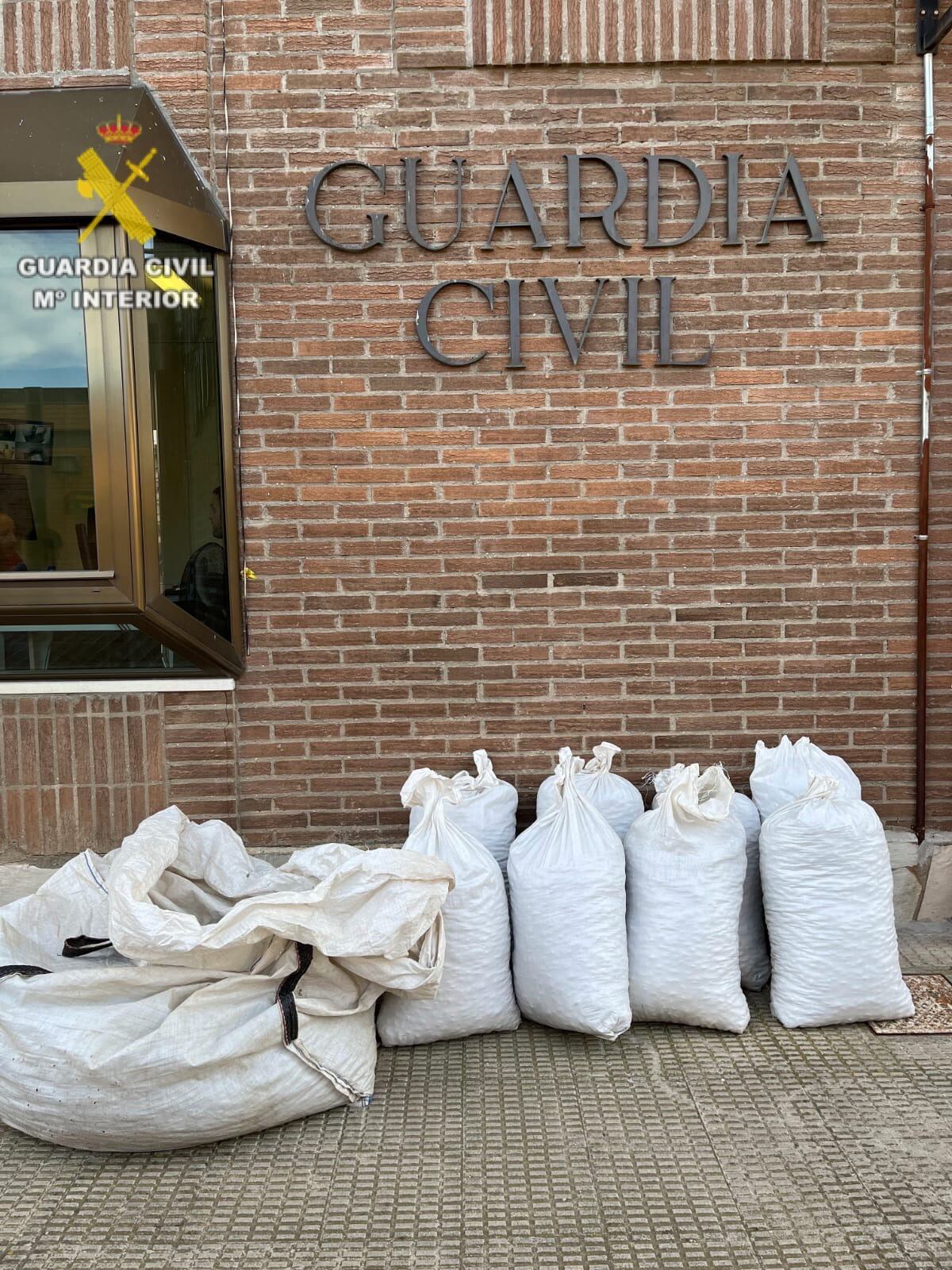 Almendras sustraídas