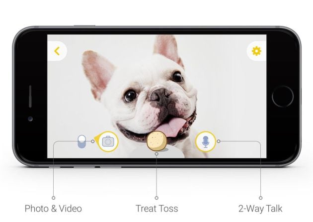 Podrás sacar fotos y hablar con tu perro.