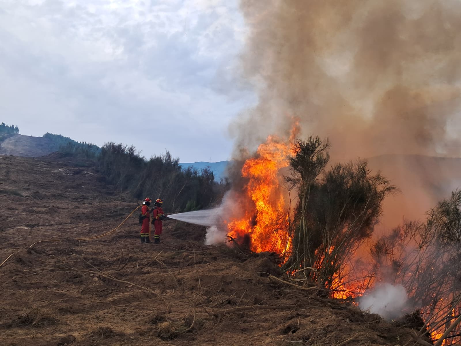 La UME actuando en el incendio de Peñalba de la Sierra