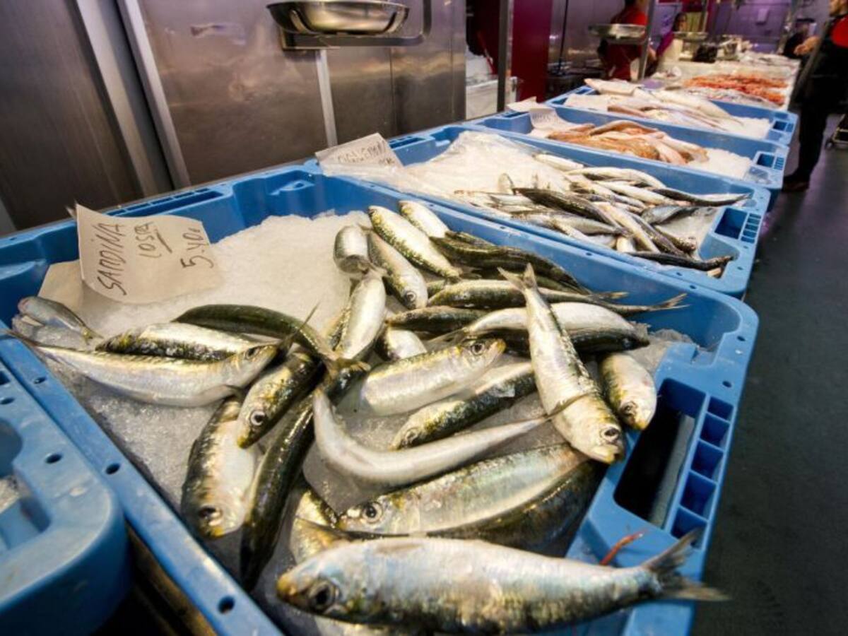 El mercado de Santa Florentina fomenta el consumo de la pesca artesanal