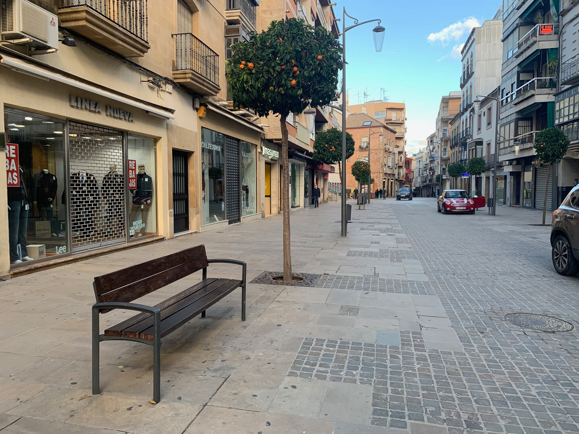 Luminarias en la calle Obispo Cobos