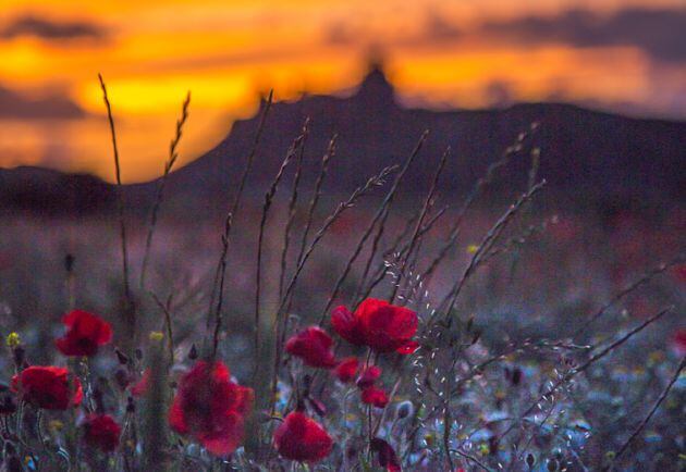 Atardecer en Montearagón