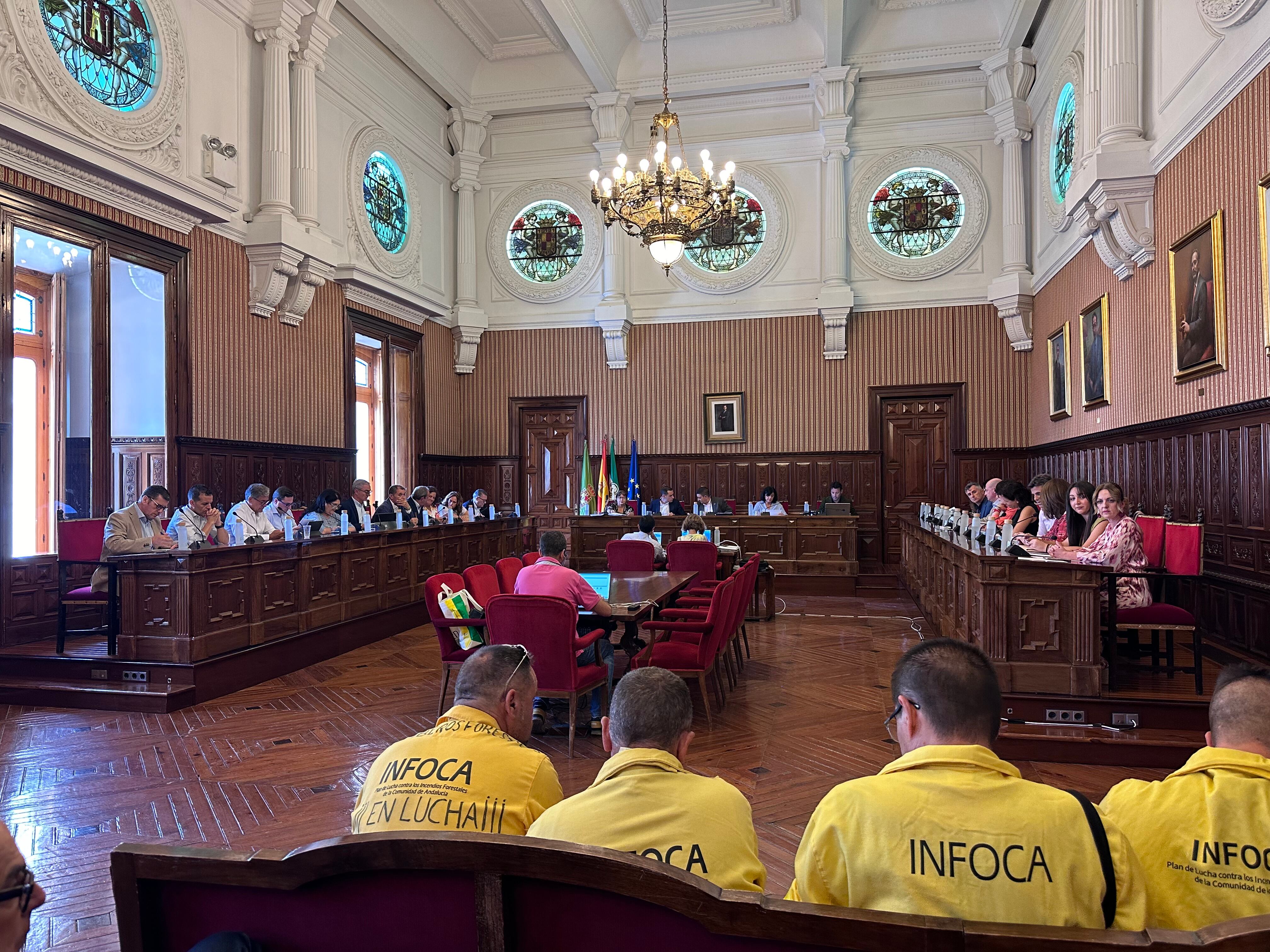 Salón de Plenos del Palacio Provincial durante la sesión del 24 de julio.