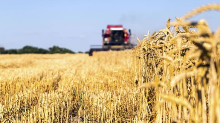 El Campo en la SER | Las novedades de la nueva campaña de la PAC